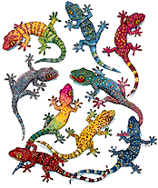 Lagarto-19.gif