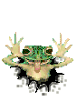 Anuro-103.gif
