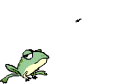 Anuro-107.gif