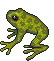 Anuro-113.gif
