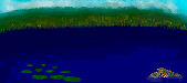 Anuro-168.gif