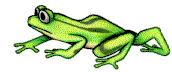 Anuro-230.gif