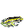 Anuro-56.gif