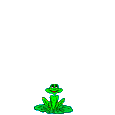 Anuro-58.gif