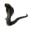 Serpiente-29.gif