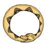 Serpiente-31.gif