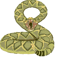 Serpiente-40.gif