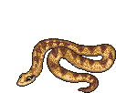 Serpiente-44.gif