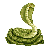 Serpiente-48.gif