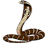 Serpiente-60.gif