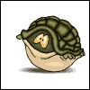 Avatar-Tortuga-04.gif