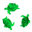 Tortuga-04.gif