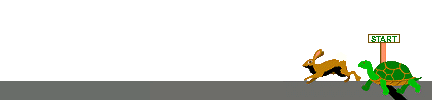 Tortuga-20.gif