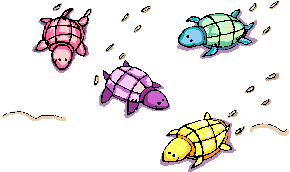 Tortuga-24.gif