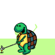 Tortuga-25.gif