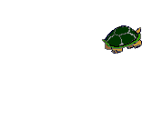 Tortuga-31.gif