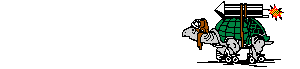 Tortuga-35.gif
