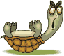 Tortuga-36.gif