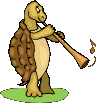 Tortuga-41.gif