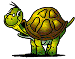 Tortuga-44.gif