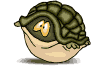 Tortuga-45.gif