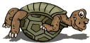 Tortuga-49.gif