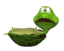 Tortuga-50.gif