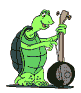 Tortuga-51.gif