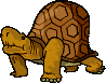 Tortuga-52.gif