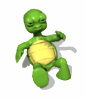 Tortuga-53.gif