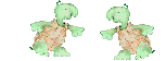 Tortuga-57.gif