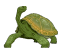 Tortuga-58.gif