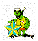 Tortuga-59.gif