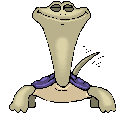 Tortuga-68.gif