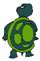 Tortuga-69.gif