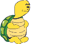 Tortuga-75.gif