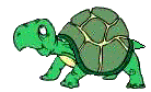 Tortuga-78.gif