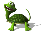 Tortuga-79.gif