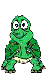 Tortuga-82.gif