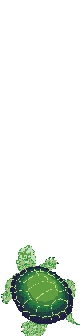 Tortuga-87.gif
