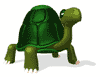Tortuga-89.gif