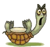 Tortuga-90.gif