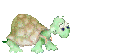 Tortuga-93.gif