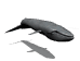 Imagen-animada-Ballena-04.gif