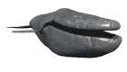 Imagen-animada-Ballena-05.gif