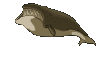 Imagen-animada-Ballena-06.gif