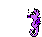 Caballito-de-mar-01.gif