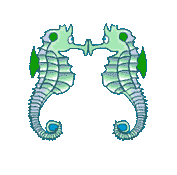 Caballito-de-mar-03.gif