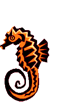 Caballito-de-mar-10.gif