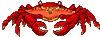 Cangrejo-11.gif